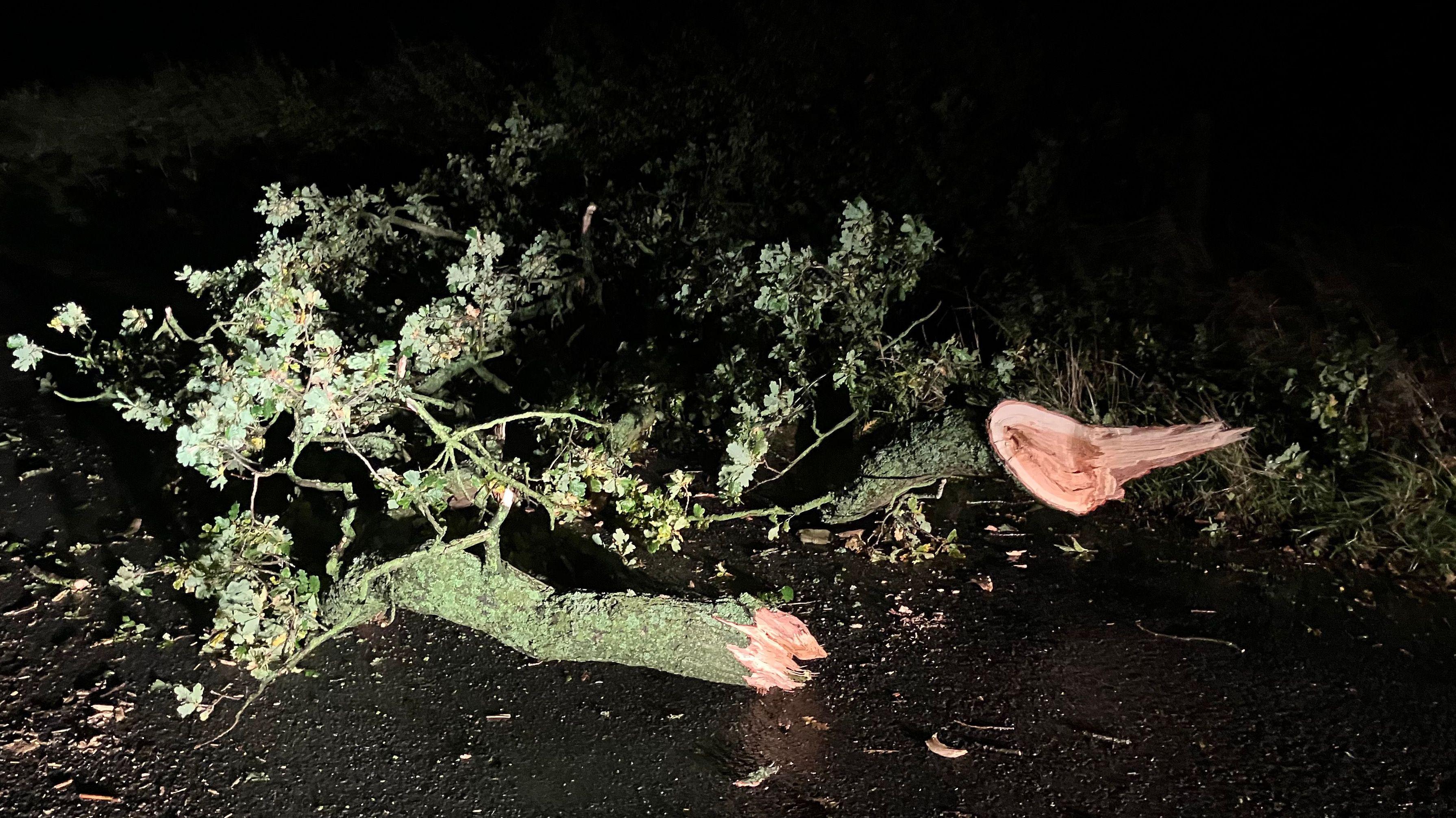 Roads blocked by trees and flooding as storm hits
