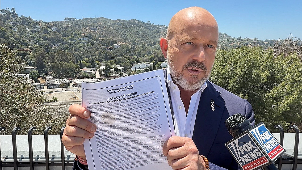 Steve Hilton hits Dem governor's 2028 pitch by calling out Newsom's ...
