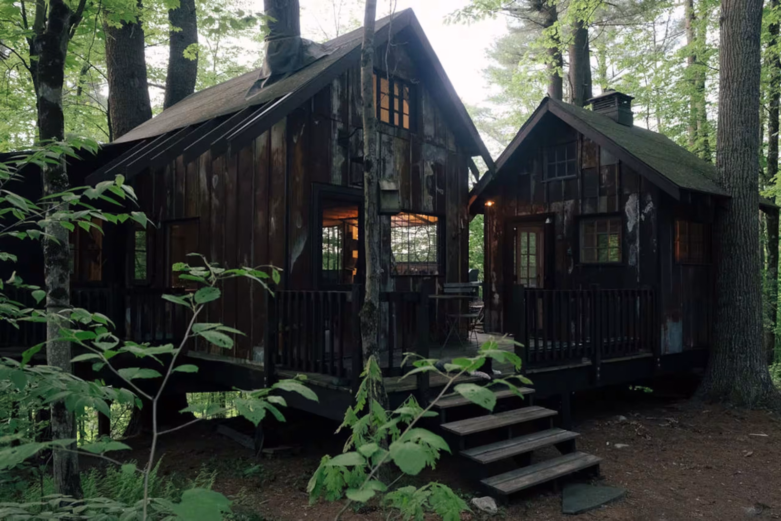 Hidden in the Massachusetts Woods Is a Treehouse Airbnb With a Living Tree Inside
