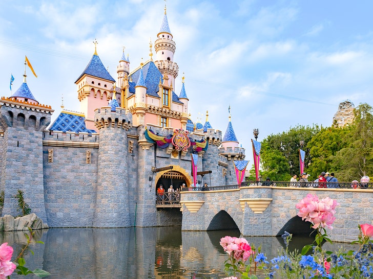 Disneyland Horror: Dead Body Found Outside 'The Happiest Place on Earth ...