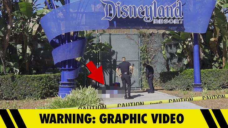 Disneyland Horror: Dead Body Found Outside 'The Happiest Place on Earth ...