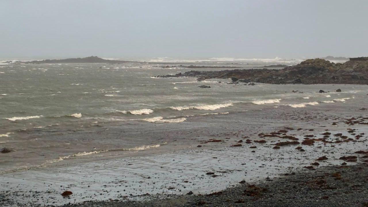 Some marine life can find storms 'devastating'