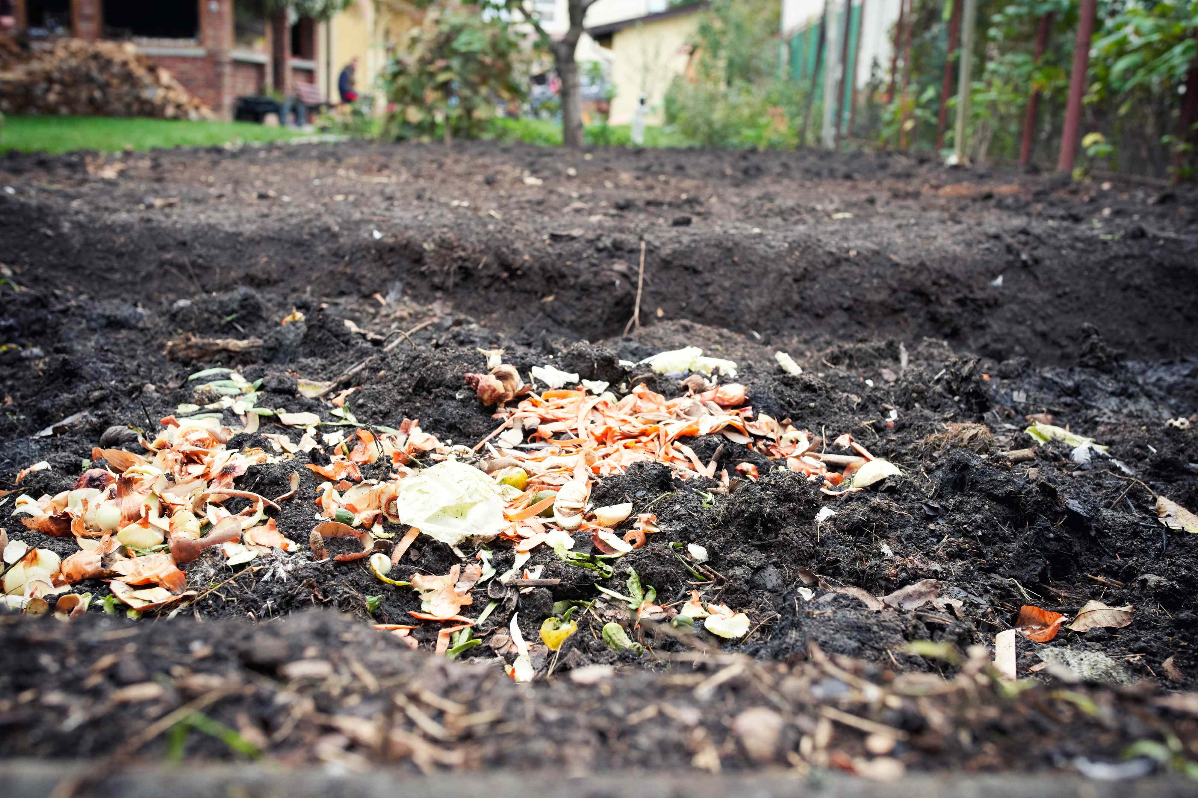 How to Turn Kitchen Scraps Into Better Garden Soil Without a Compost ...