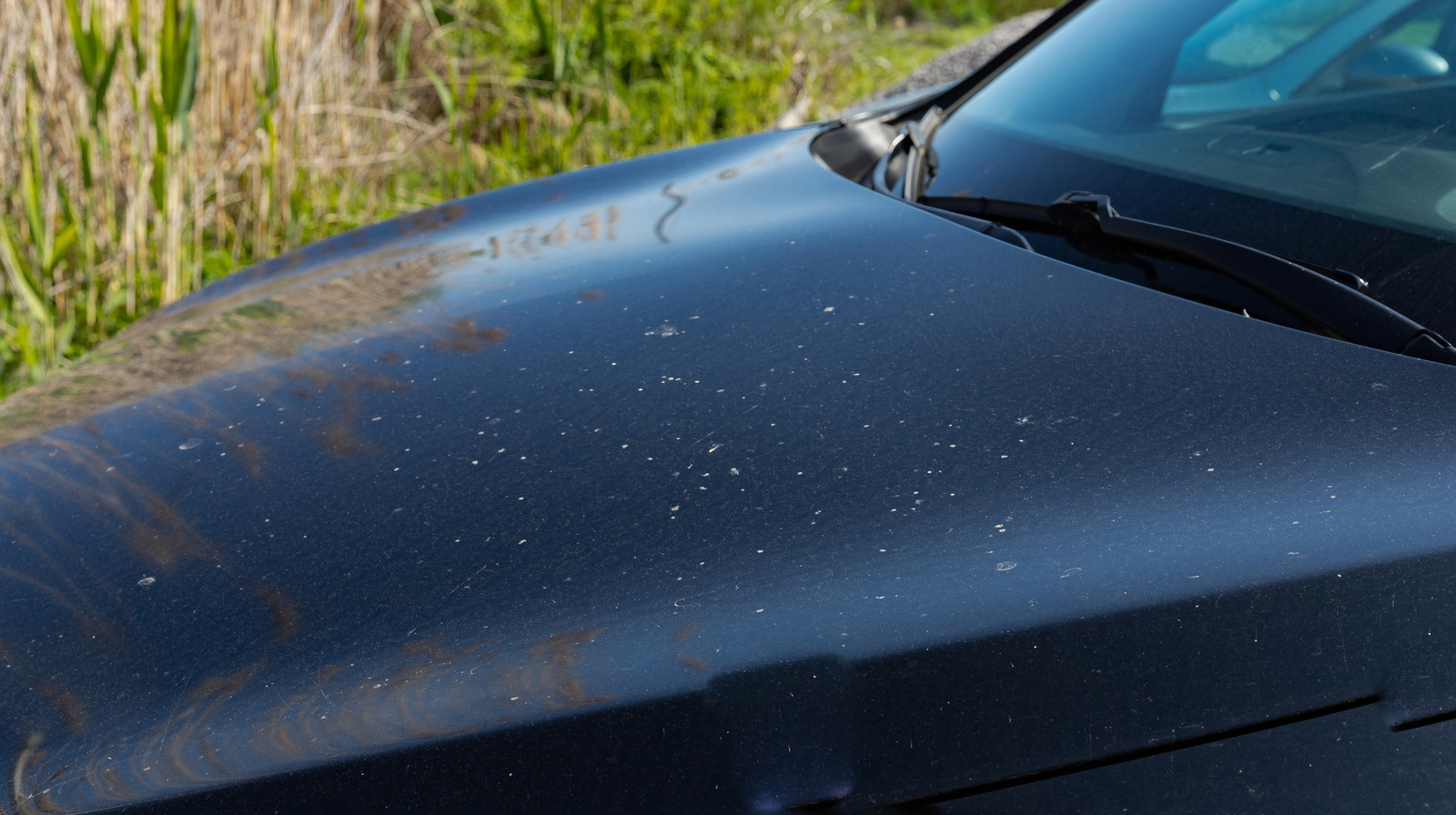Can You Use Vinegar On Car Paint To Combat This Common Weather-Related Issue?