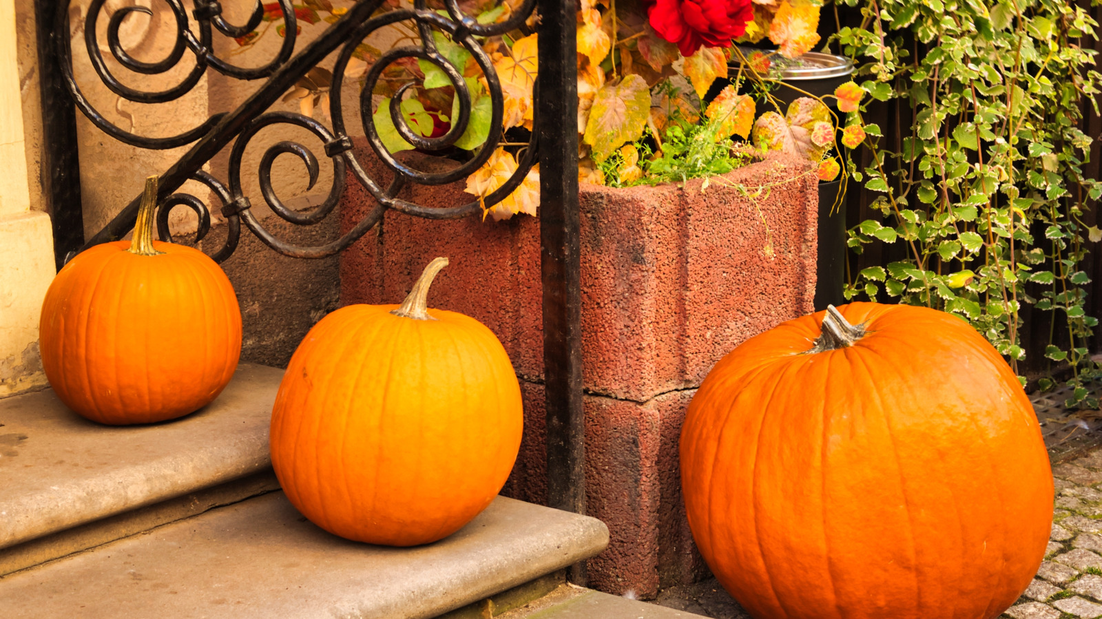 True Oyster Shell She Turns Oyster Shells Into The Most Stunning DIY Pumpkin Decor - AOL