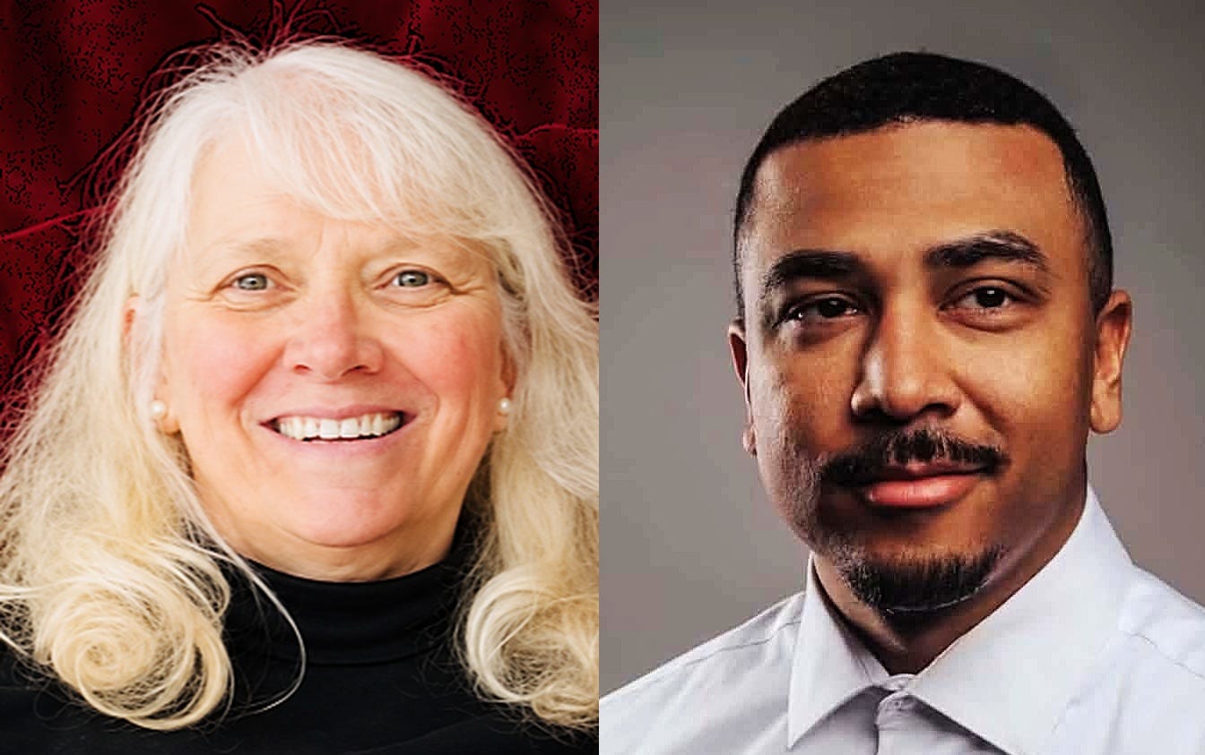 Virginia Leach Watts, Leach run to rep Southport on Chemung County Legislature - AOL
