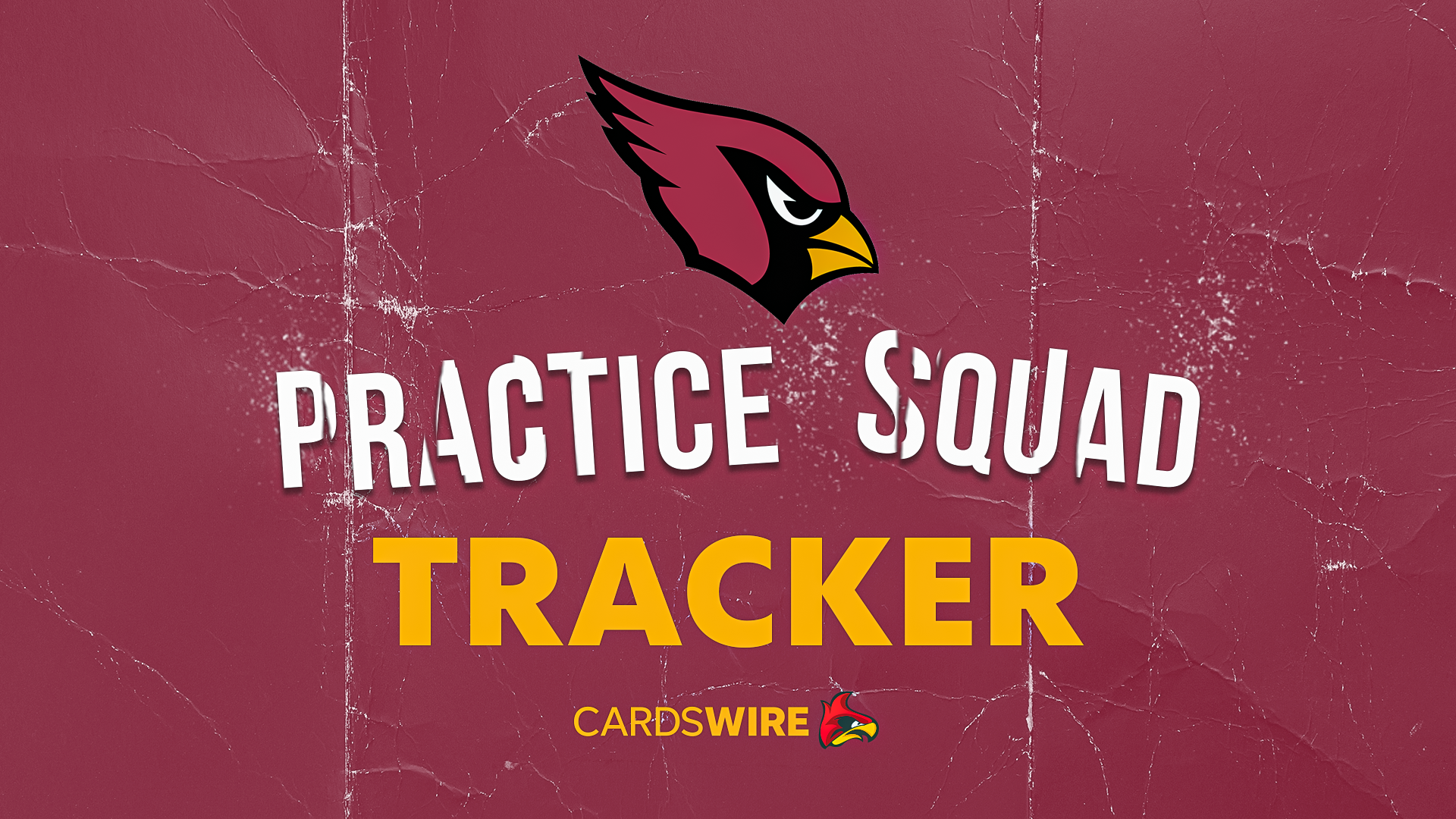 Arizona Cardinals add S Wydett Williams, OL Austin Deculus to practice squad
