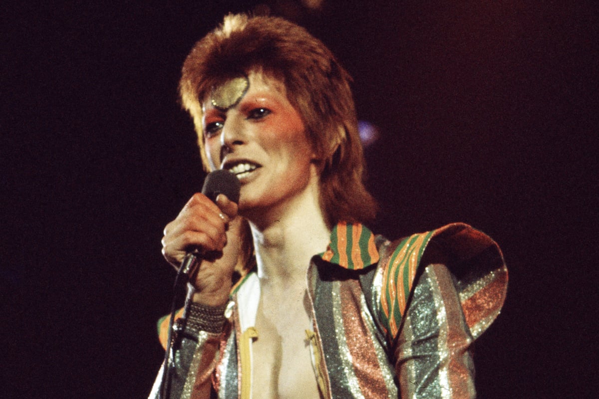 David Bowie childhood home attraction delayed as plans withdrawn