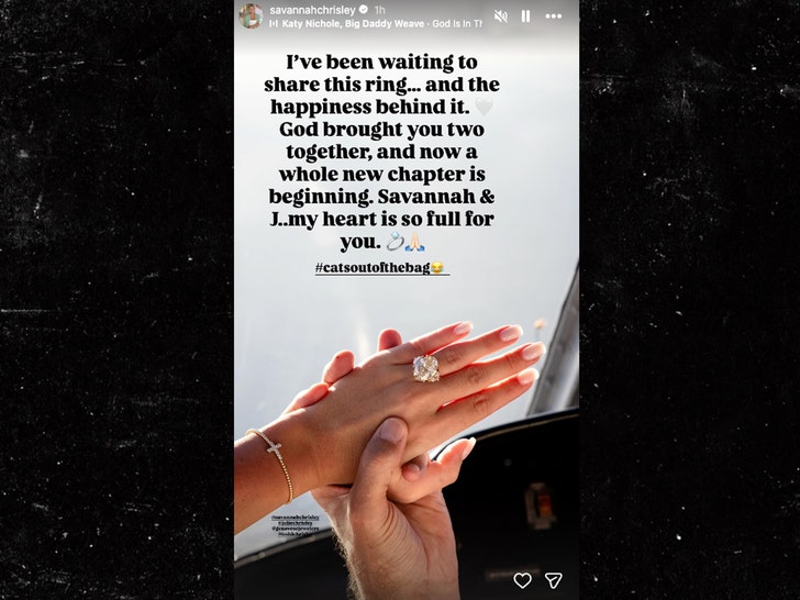 Savannah Chrisley's Fiancé Jason Galanis Had Over $100 Million in ...