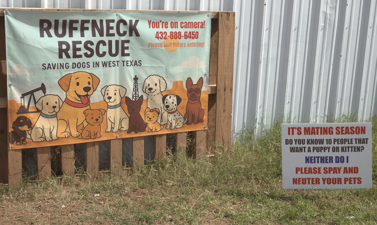 Alter Email Address Ruffneck seeks lasting change for West Texas animals - AOL