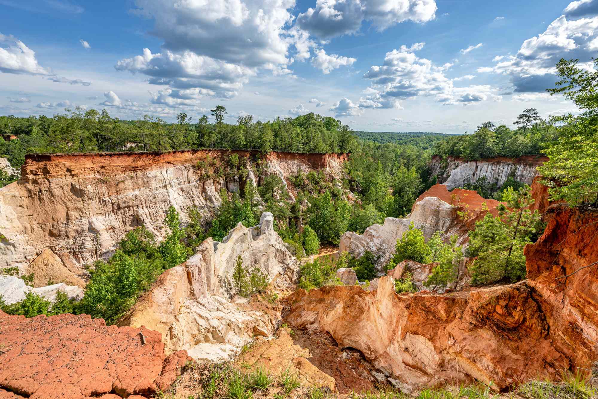 Georgia’s ‘Little Grand Canyon’ Is the Result of Human-caused Erosion—but It Has Scenic Trails Above 150-foot Drops