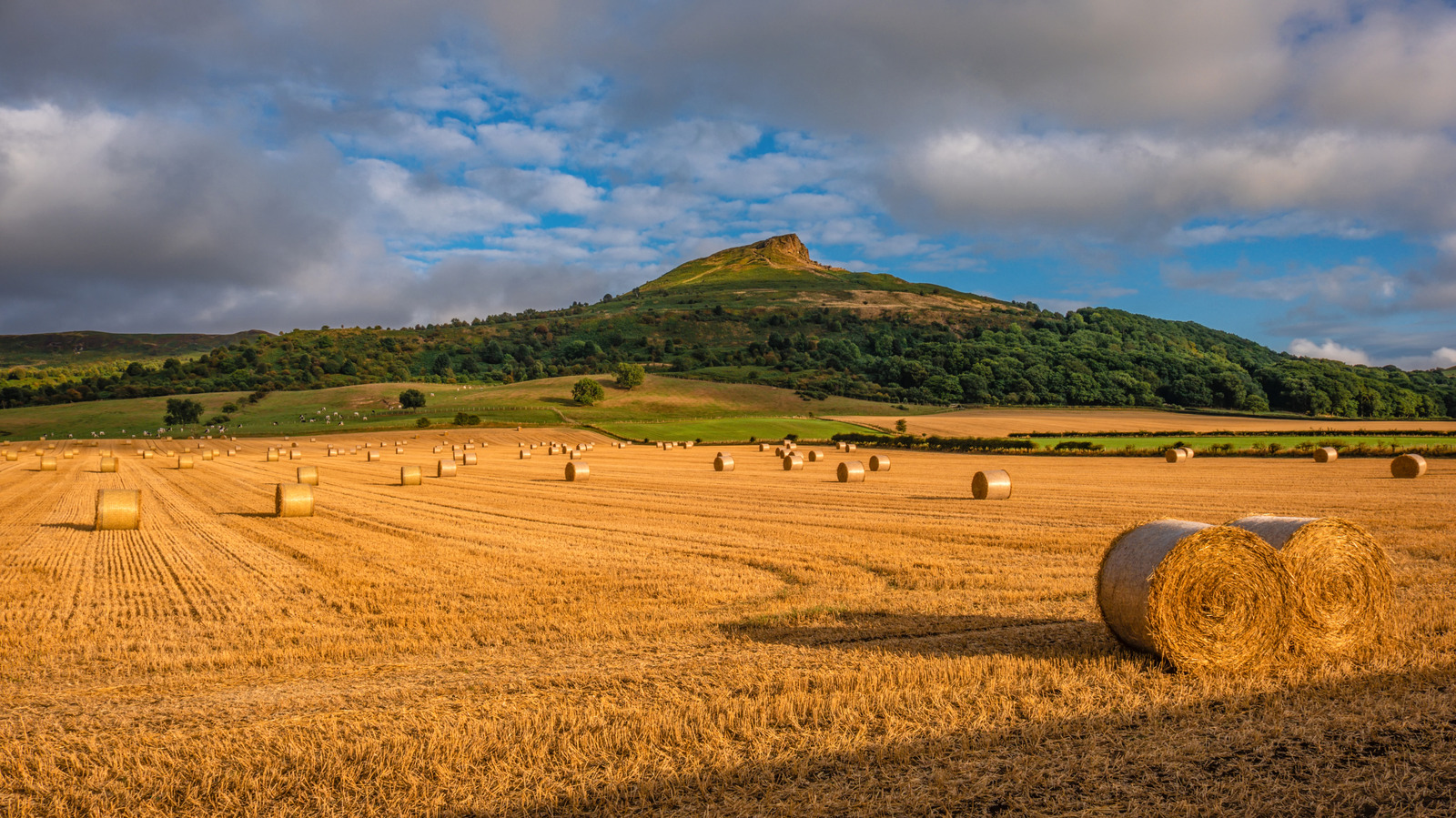 Near Middlesbrough Is A North Yorkshire Gem With Quaint Shops, Ancient Ruins, And Moorland Adventures