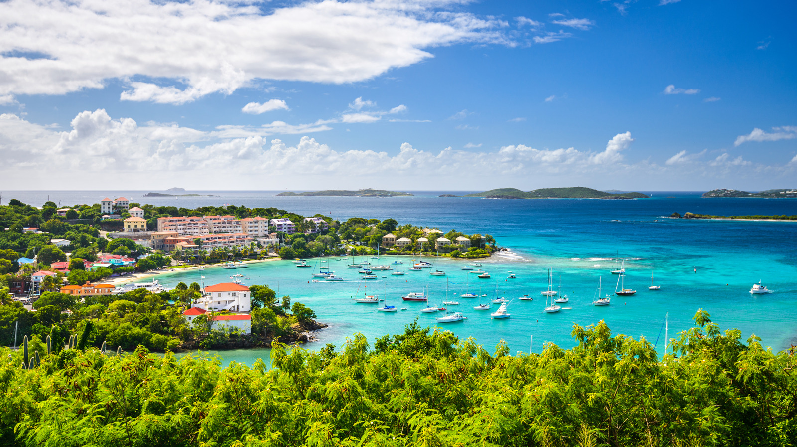 Caribbean Breezes Kiss Sheltered Shores With Swaying Palms At This Powder-Soft Beach In St. John